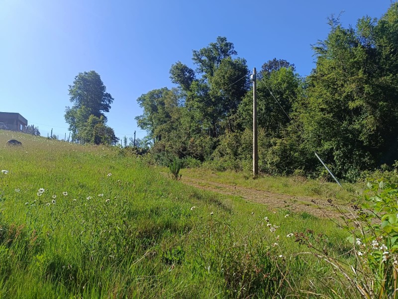 Tu Refugio en Valdivia,naturaleza y Confort en un Solo Lugar