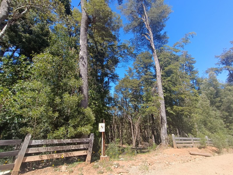 Terreno en Torobayo – Condominio los Aromos, Valdivia