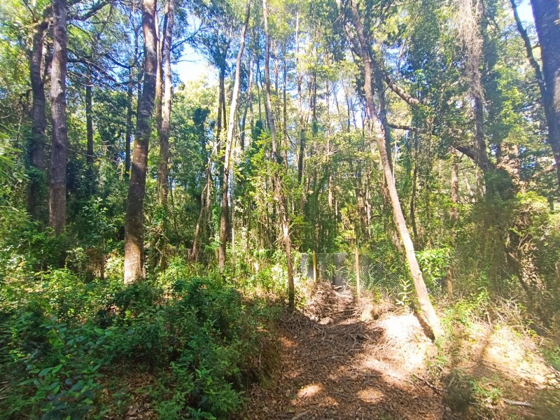 Terreno en Torobayo – Condominio los Aromos, Valdivia
