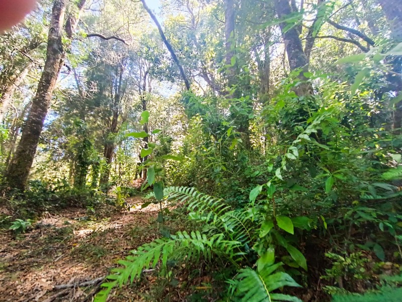 Terreno en Torobayo – Condominio los Aromos, Valdivia