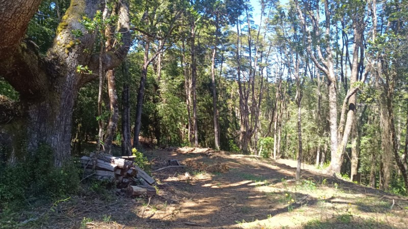 Terreno en Torobayo – Condominio los Aromos, Valdivia