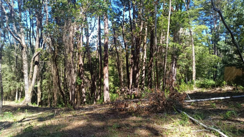 Terreno en Torobayo – Condominio los Aromos, Valdivia