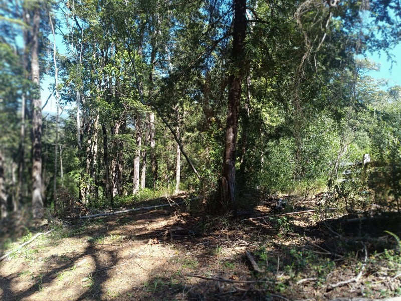 Terreno en Torobayo – Condominio los Aromos, Valdivia