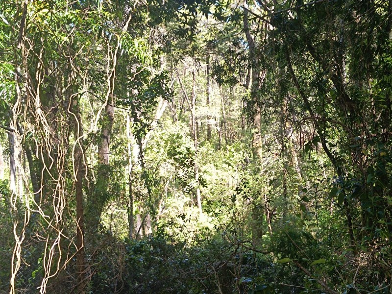 Terreno en Torobayo – Condominio los Aromos, Valdivia