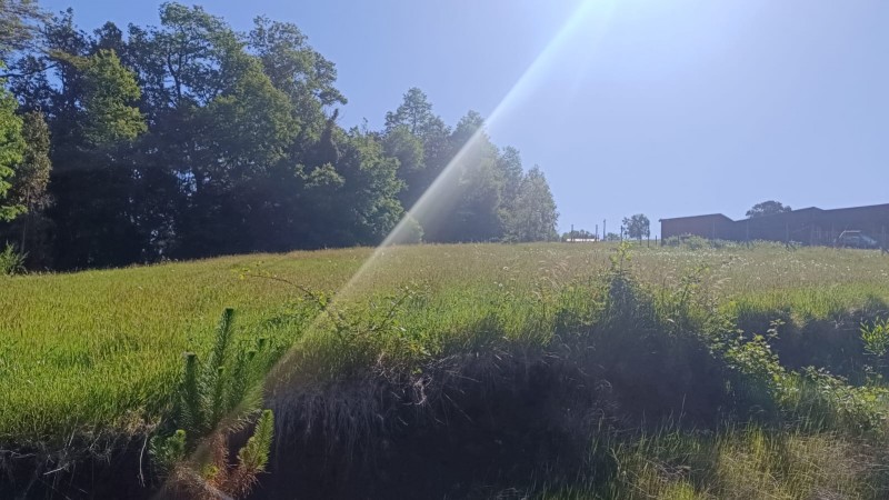 Tu Refugio en Valdivia,naturaleza y Confort en un Solo Lugar