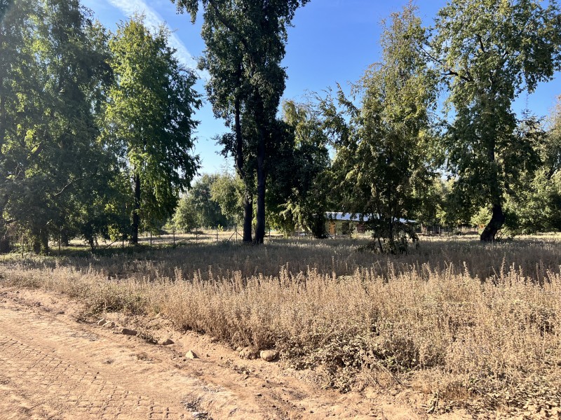 Hermosas Parcelas Econativas en Romeral