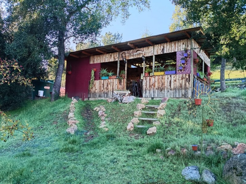 Hermosa Casa en Parcela Nativa en Viña Huemul, Teno.