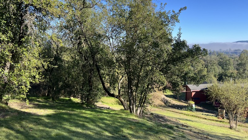 Hermosa Casa en Parcela Nativa en Viña Huemul, Teno.