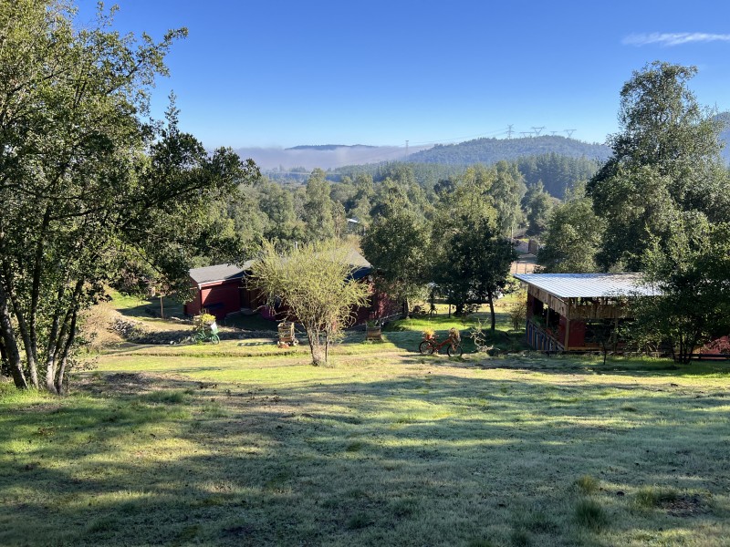 Hermosa Casa en Parcela Nativa en Viña Huemul, Teno.
