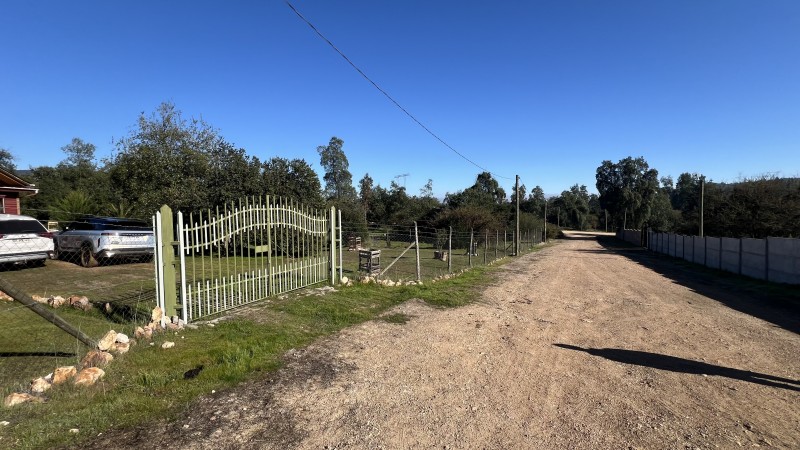 Hermosa Casa en Parcela Nativa en Viña Huemul, Teno.