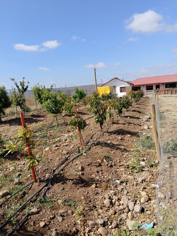 Se Vende Propiedad en Parcela de Agrado
