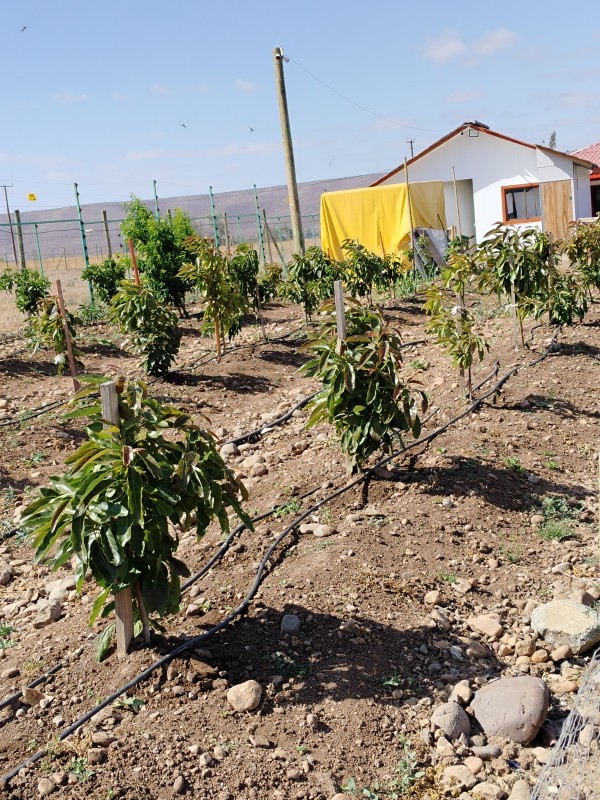 Se Vende Propiedad en Parcela de Agrado