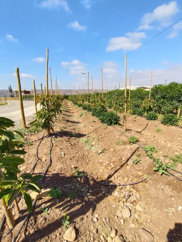 Se Vende Propiedad en Parcela de Agrado