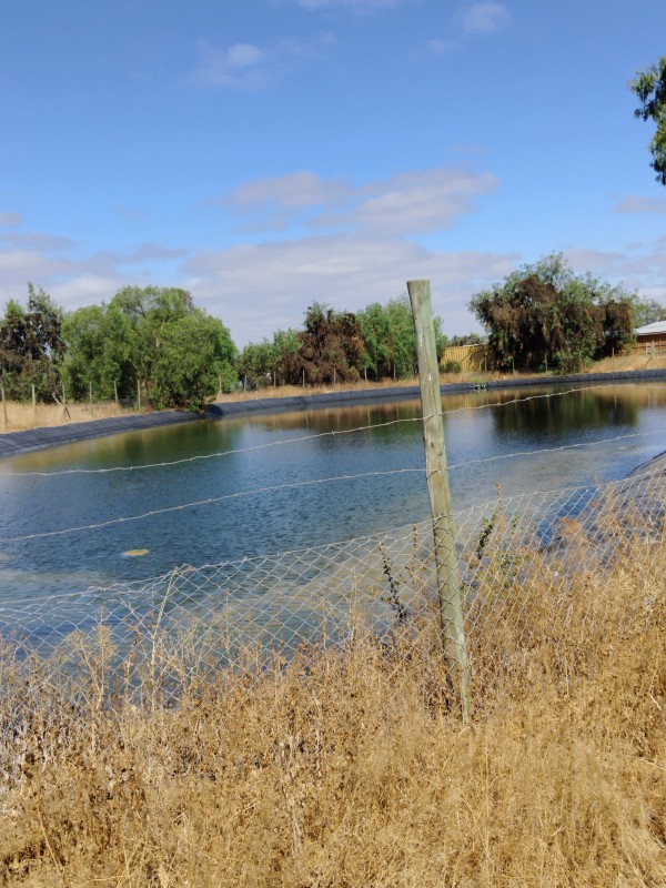 Se Vende Propiedad en Parcela de Agrado