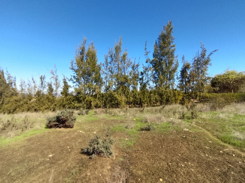 Hermosos Terreno Agua Potable y Luz 10 Mntos de Ovalle!!!