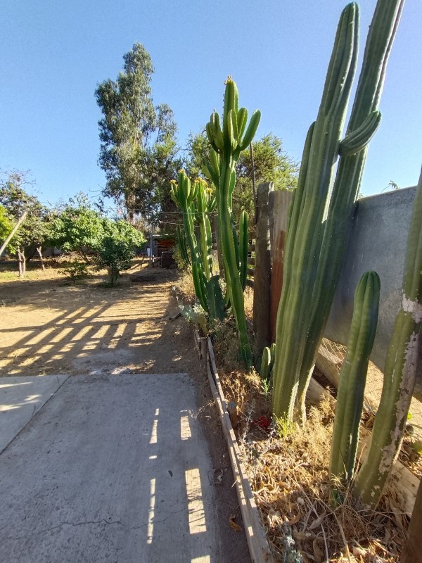 Se Vende Parcela Ubicada en las Ramadas de Punitaqui