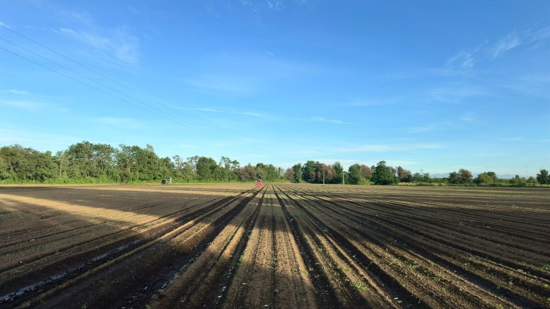 Rukahue Propiedades Vende Hermoso Campo
