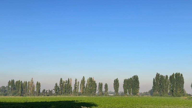 Rukahue Propiedades Vende Hermoso Campo