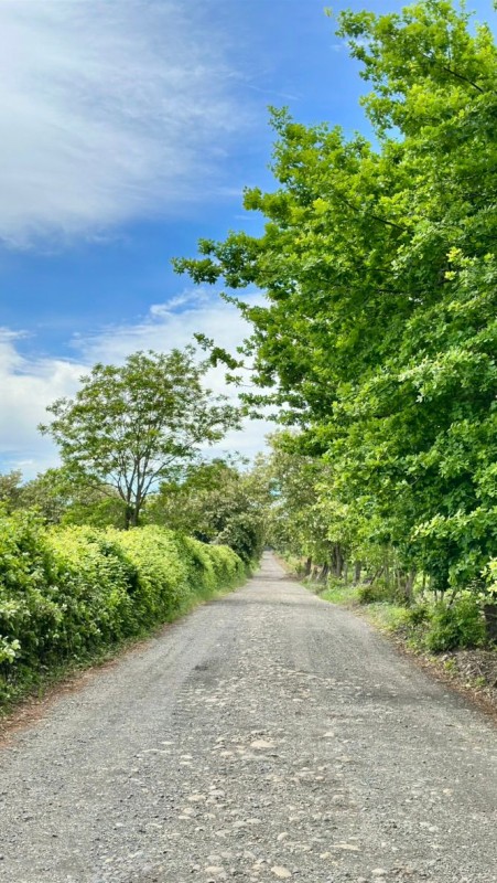 Rukahue Propiedades Vende Hermoso Campo