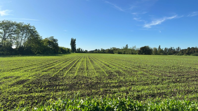 Rukahue Propiedades Vende Hermoso Campo
