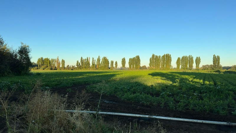 Rukahue Propiedades Vende Hermoso Campo