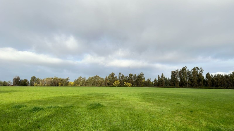 Rukahue Propiedades Vende Hermoso Campo
