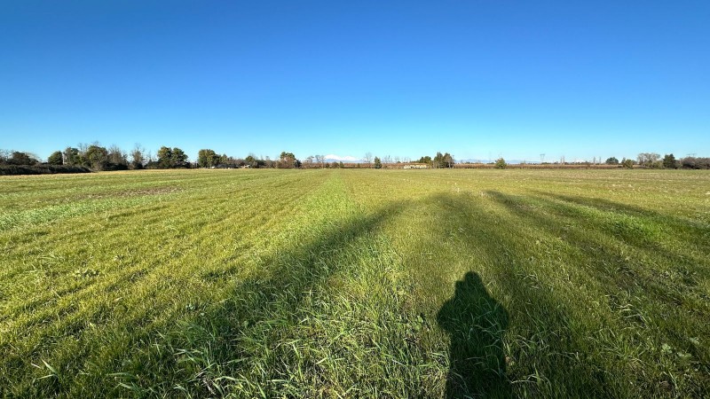 Rukahue Propiedades Vende Hermoso Campo