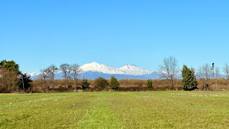 Rukahue Propiedades Vende Hermoso Campo