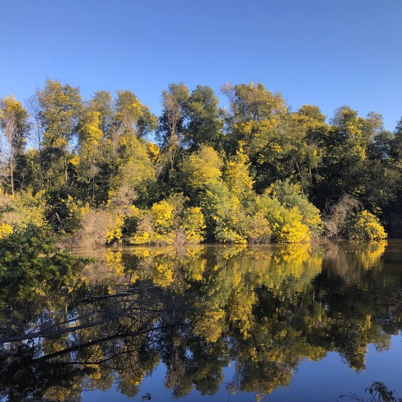 Rukahue Propiedades Vende Hermoso Campo