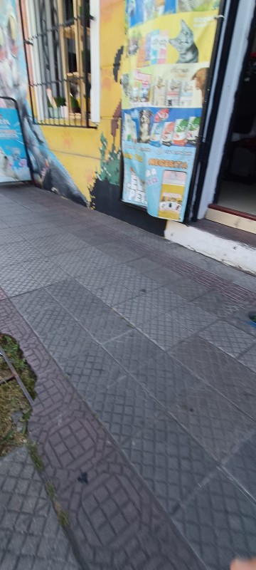 Venta de Derecho de Llaves Tienda de Mascotas Providencia