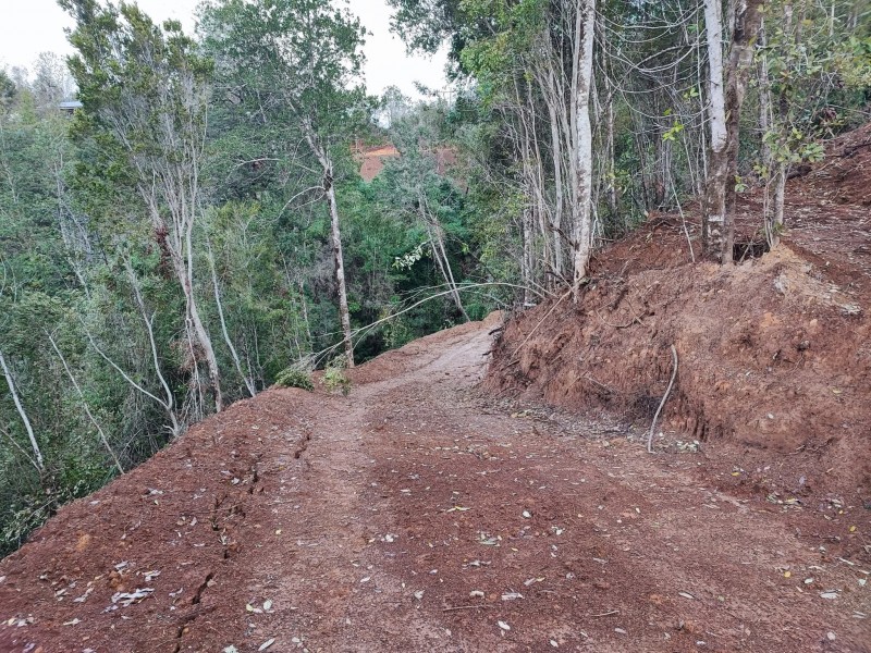 Venta Parcela Valdivia Región de los Ríos