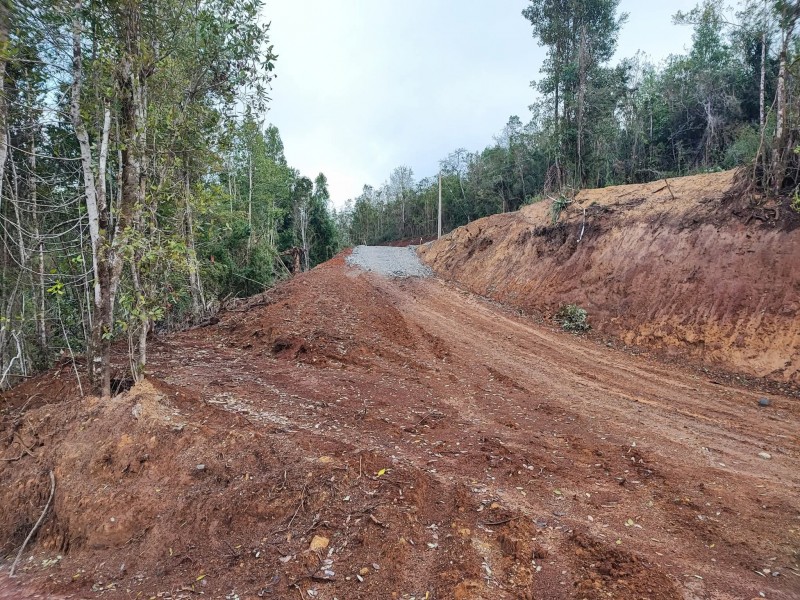 Venta Parcela Valdivia Región de los Ríos