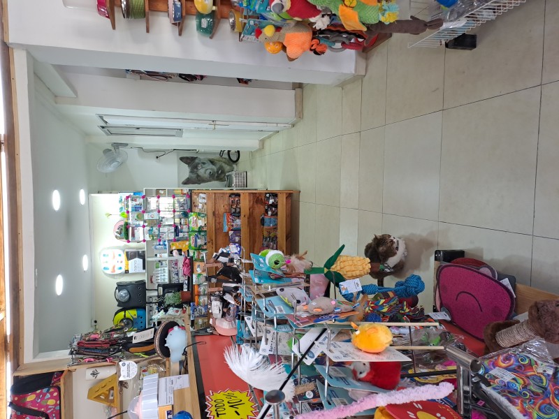 Venta de Derecho de Llaves Tienda de Mascotas Providencia