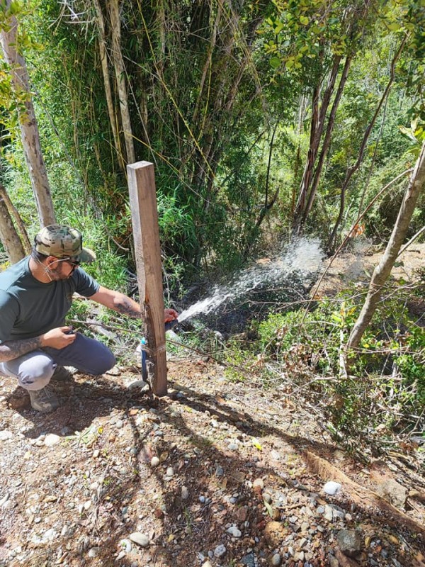 Venta Parcela Valdivia Región de los Ríos