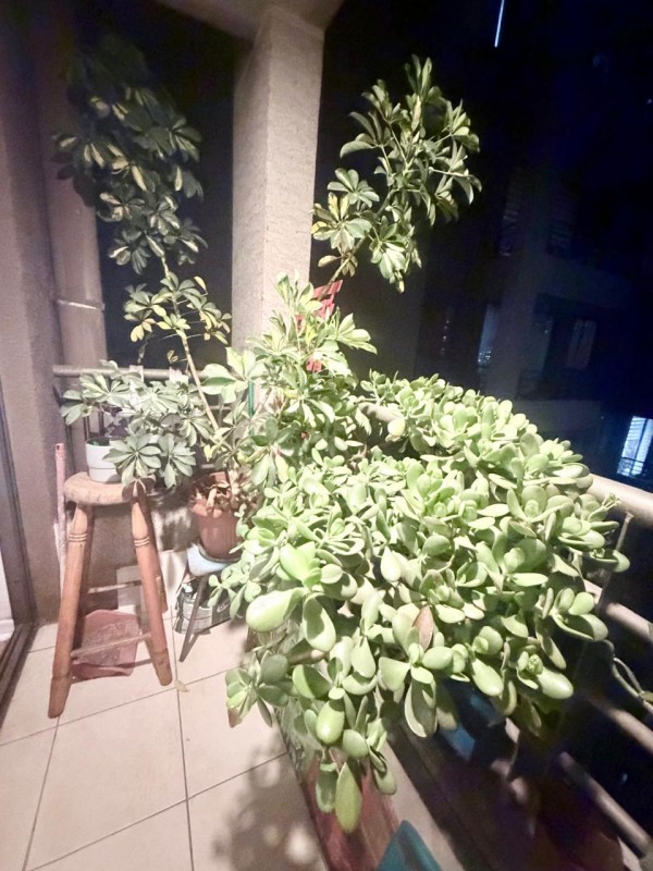 Se Vende Lindo Depto 1D 1B 30Mts2 Avenida Portugal 968 Stgo