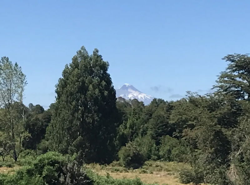 Campo en Venta Lago Rupanco