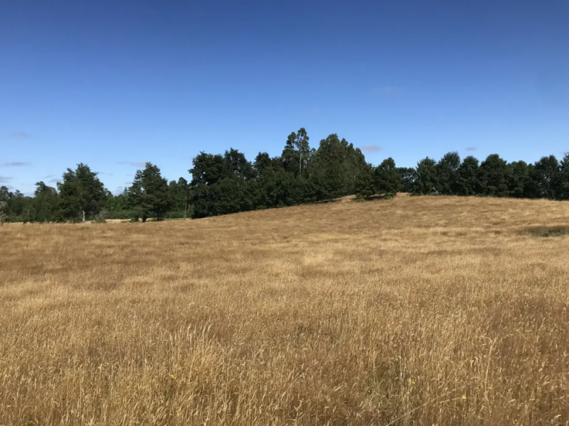 Campo en Venta Lago Rupanco