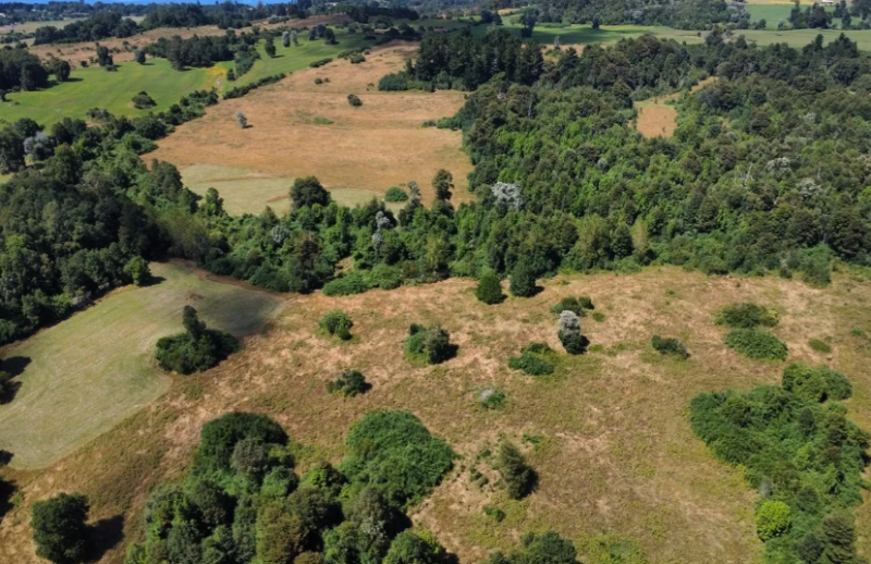Campo en Venta Lago Rupanco