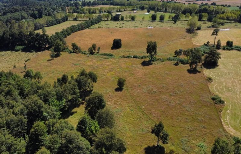 Campo en Venta Lago Rupanco