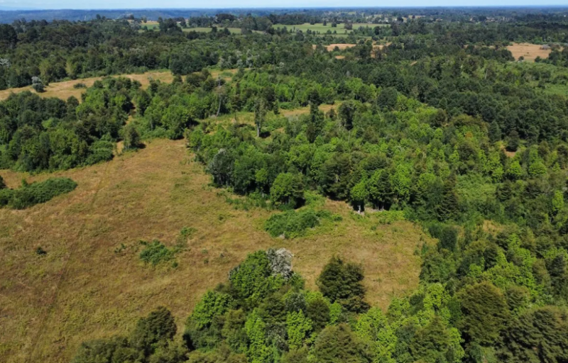 Campo en Venta Lago Rupanco
