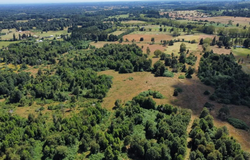 Campo en Venta Lago Rupanco