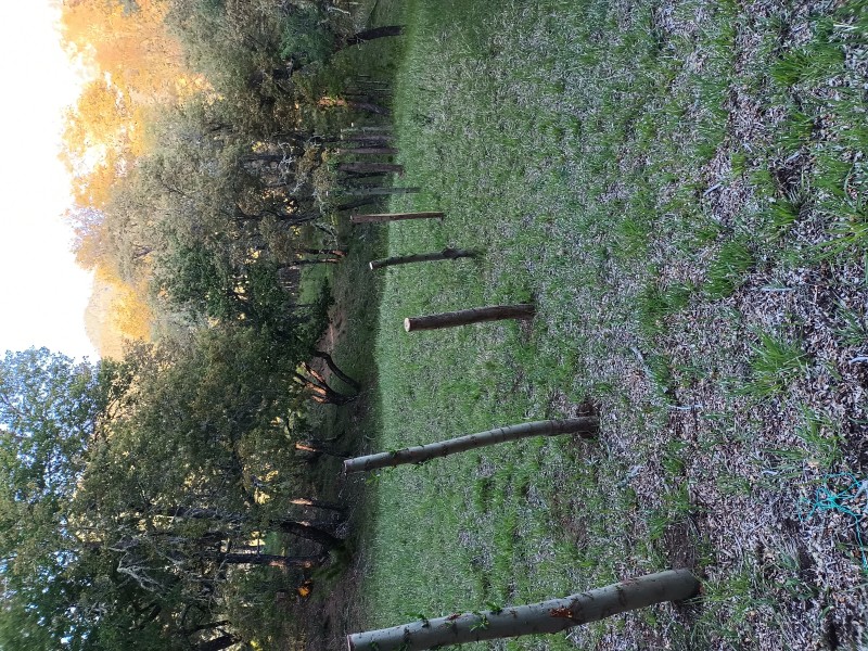 Oportunidad Venta de Terreno Superficie 5000 M2 Troyo