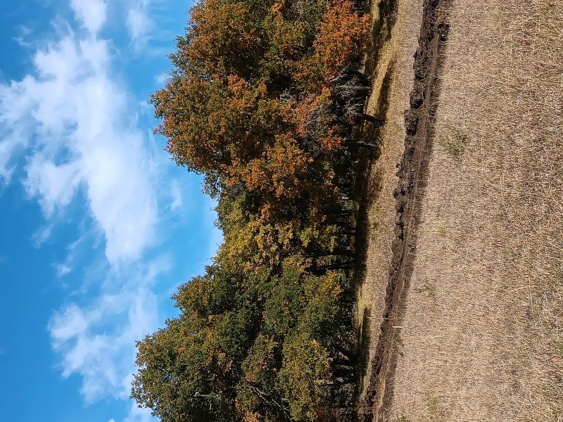 Oportunidad Venta de Terreno Superficie 5000 M2 Troyo