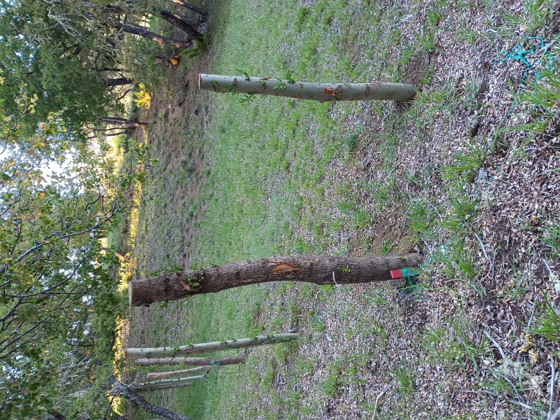 Oportunidad Venta de Terreno Superficie 5000 M2 Troyo