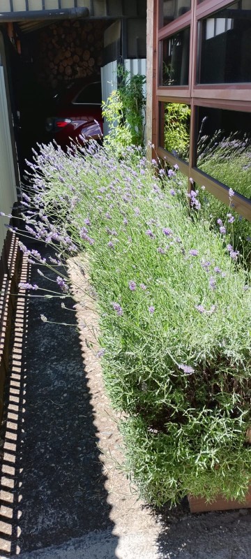 Se Vende Acogedora y Sólida Casa Habitación de 150 M²