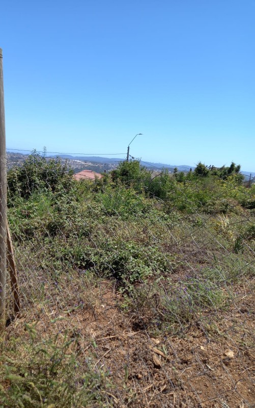 Fotografía de Terreno Urbano de 484,59 M², en Cerro el Santo,tomé