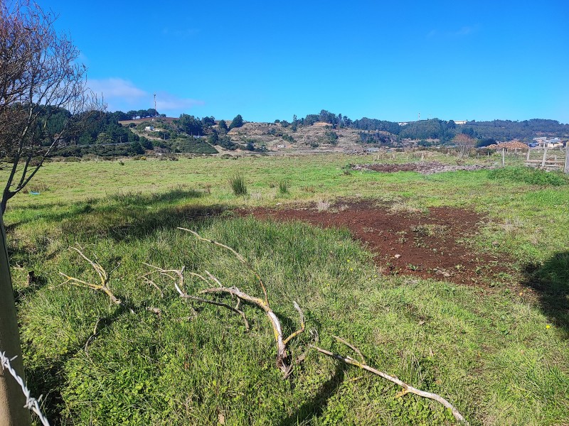 Venta Terreno Ex Liceo Saavedra