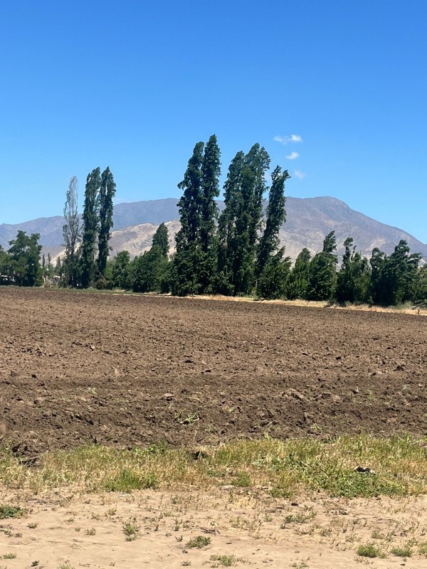 Oportunidad de Inversión: Terreno de 78.000 M² Lo Echevers