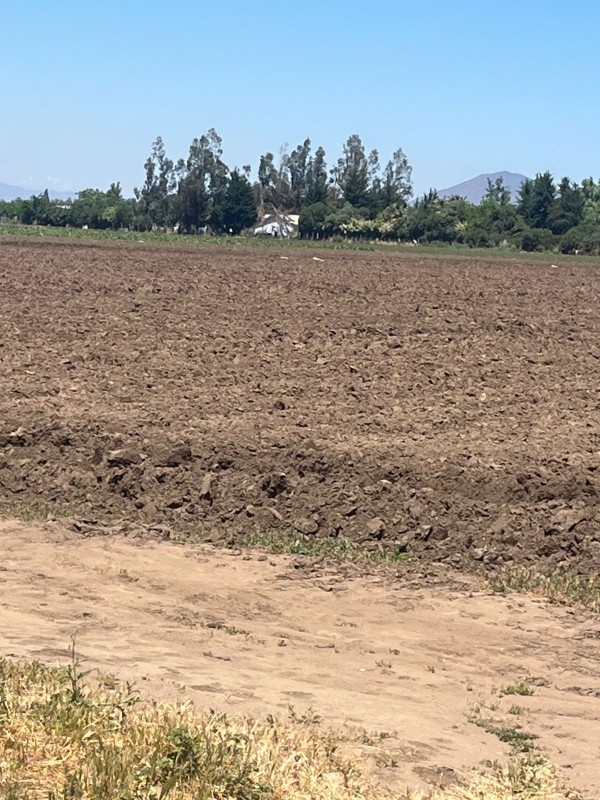 Oportunidad de Inversión: Terreno de 78.000 M² Lo Echevers