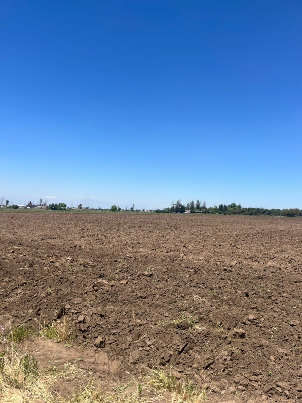 Oportunidad de Inversión: Terreno de 78.000 M² Lo Echevers